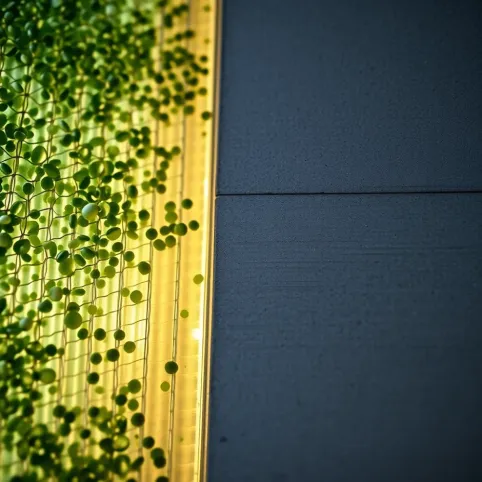 Ciekawe materiały budowlane