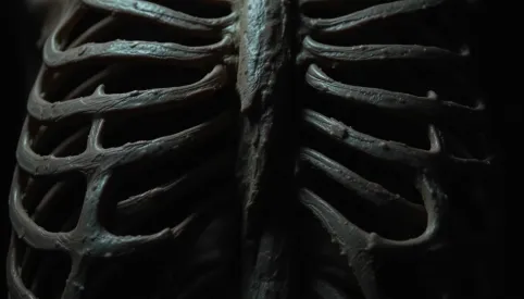 co jest po lewej stronie pod żebrami