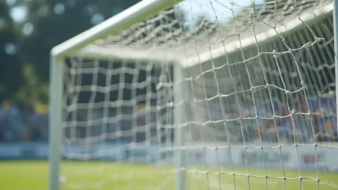 element bramki piłkarskiej